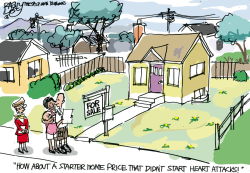 STARTER HOME by Pat Bagley