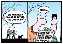 WHO SHOULD BE PAYING THE CARBON TAX by Ingrid Rice