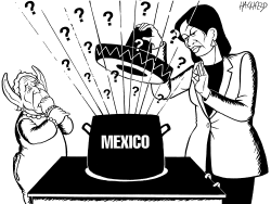 MEXICO AFTER ELECTION by Rainer Hachfeld