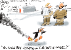 CLIMATE CRISES by Pat Bagley