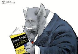 IMPEACHMENT FOR DUMMIES by Rivers