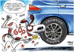 FLORIDA ABORTION RULING by Dave Whamond