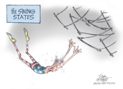 BIDEN AND SWING STATES by Dick Wright