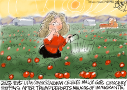 LOCAL: FIELD WORKER  by Pat Bagley