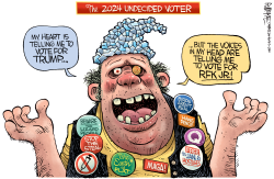 UNDECIDED VOTER by Rick McKee