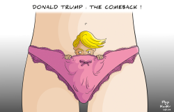 DONALD TRUMP : THE COMEBACK! by Plop and KanKr