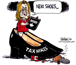 BUDGET SHOES by Steve Nease