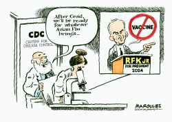 COVID AND AVIAN FLU by Jimmy Margulies