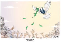 GAZA CEASE FIRE FOOD AID by R.J. Matson
