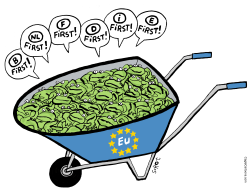 EUROPEAN ELECTIONS by Schot