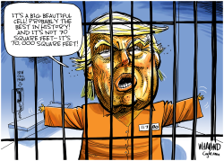 TRUMP GUILTY by Dave Whamond