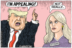 TRUMP APPEALING by Monte Wolverton