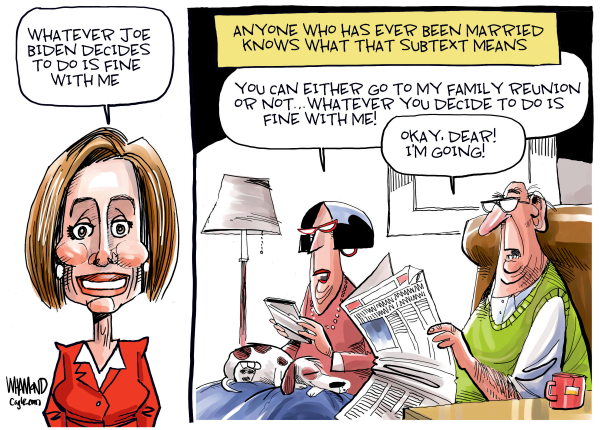 The Pelosi Subtext by Dave Whamond