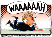 TRUMP REACTS TO BIDEN DROPPING OUT by Ingrid Rice