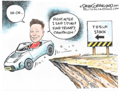 TESLA STOCK PLUNGES 2024 by Dave Granlund