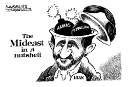 THE MIDEAST IN A NUTSHELL by Jimmy Margulies