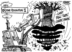 CEDAR REVOLUTION II by John Trever