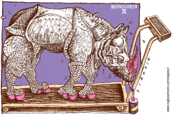 THE DIET OF THE RHINO by Osmani Simanca