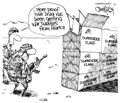FRANCE HELPS IRAQ by Gary McCoy
