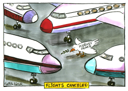 AIRLINES CANCELED FLIGHTS -  by Christo Komarnitski