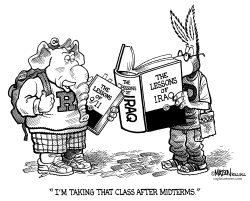 MIDTERM ELECTIONS CURRICULUM by RJ Matson