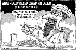 WHAT KILLED OSAMA by Wolverton