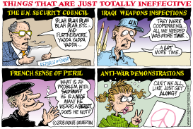 INEFFECTIVE THINGS by Monte Wolverton