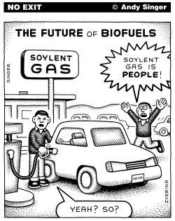 FUTURE OF BIOFUELS by Andy Singer