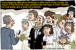  WHY NOT POLYGAMY by Monte Wolverton
