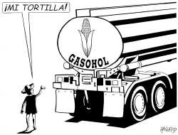 GASOHOL VS TORTILLA by Rainer Hachfeld