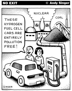 HYDROGEN FUEL CELL CARS by Andy Singer