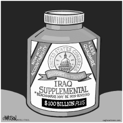 IRAQ SUPPLEMENTAL by R.J. Matson