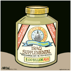 IRAQ SUPPLEMENTAL- by R.J. Matson