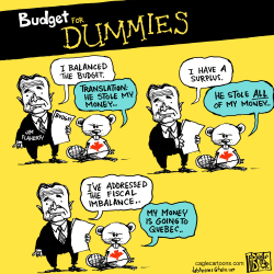 CANADA BUDGET FOR DUMMIES COLOUR by Tab