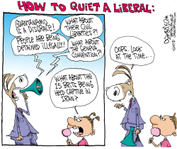 TO QUIET A LIBERAL  by Gary McCoy