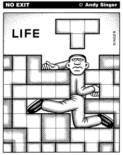 LIFE AS TETRIS GAME by Andy Singer