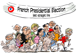 FRENCH ELECTION-COLOR by Frederick Deligne