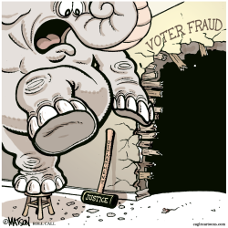 WHO'S AFRAID OF VOTER FRAUD?- by R.J. Matson