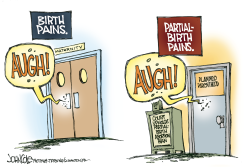 PARTIAL-BIRTH PAINS by John Cole