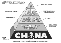 UPDATED FDA FOOD PYRAMID by R.J. Matson