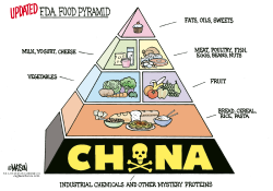 UPDATED FDA FOOD PYRAMID- by R.J. Matson