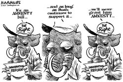 AMNESTY by Jimmy Margulies