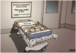 LOCAL-MO STATE OF MISSOURI EXECUTIONS- by R.J. Matson