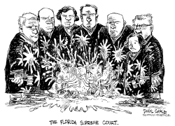 FLORIDA SUPREME COURT by Daryl Cagle
