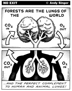 FORESTS ARE THE LUNGS OF THE WORLD by Andy Singer