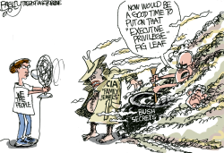 THE FAMILY JEWELS  by Pat Bagley
