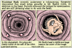 THE PRESIDENTIAL COLON   by Wolverton