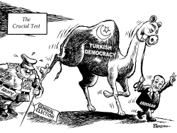 TURKEY UNDER TEST by Paresh Nath