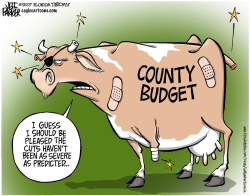 LOCAL FL BUDGET COW  by Parker