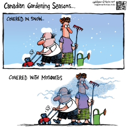 CANADA CANADIAN GARDENING COLOUR by Tab